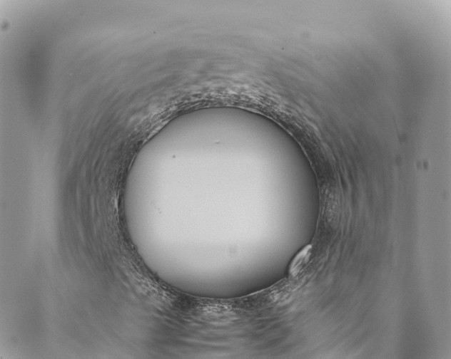 X0000089431489200706291301