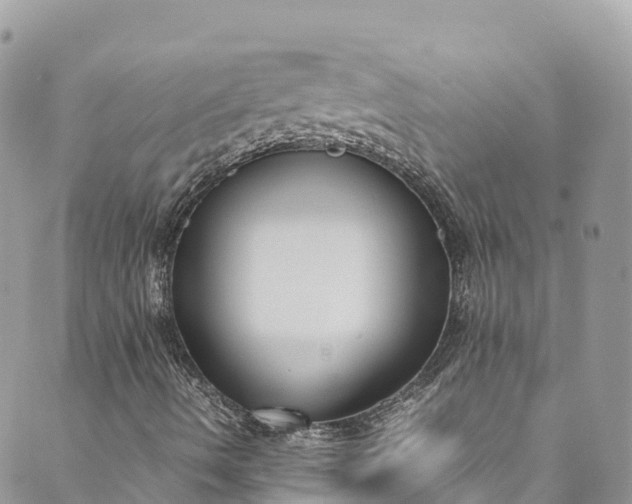 X0000089431490200706291301