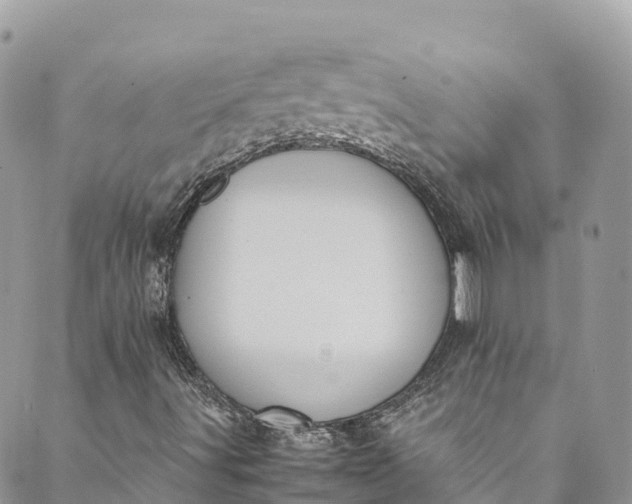 X0000089431491200706291301