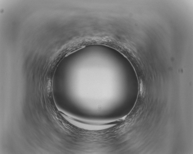 X0000089431492200706291301