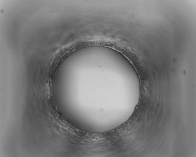 X0000089431493200706291301