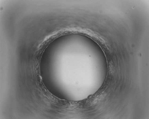 X0000089431494200706291301