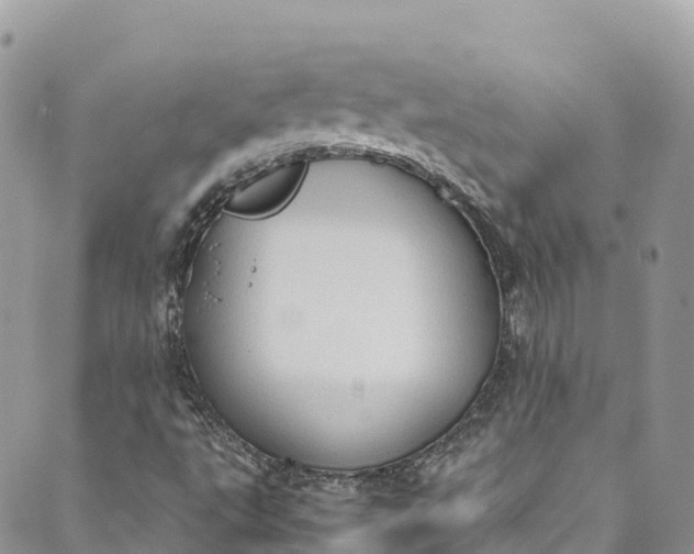 X0000089431495200706291301