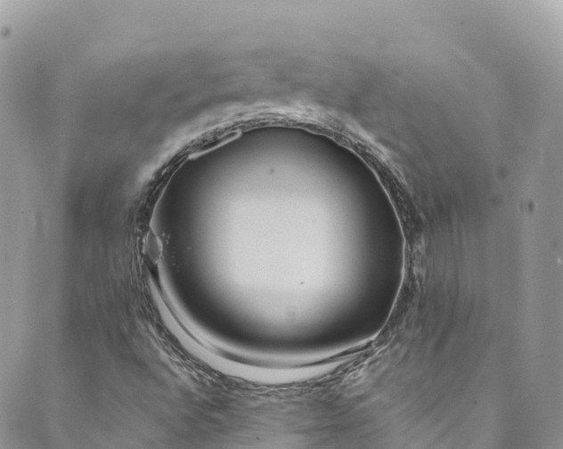 X0000089431496200706291301