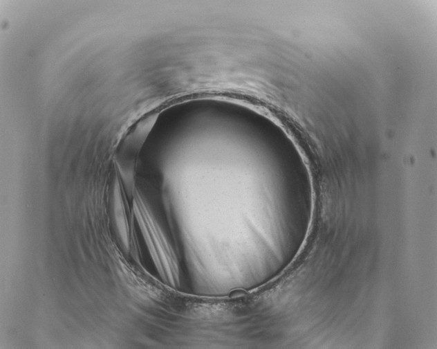 X0000089431497200706291301