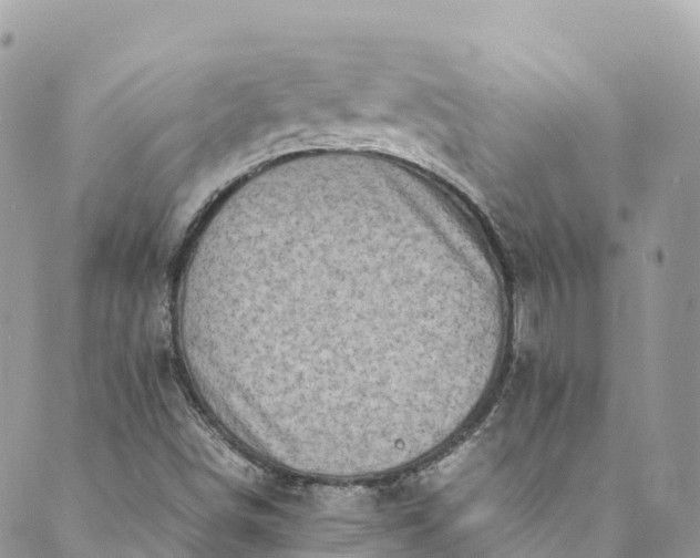 X0000089431498200706291301