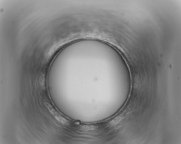 X0000089431499200706291301