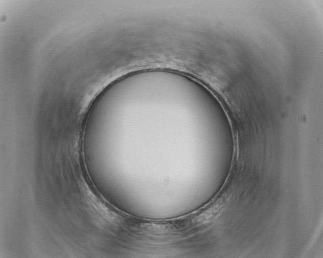 X0000089431500200706291301