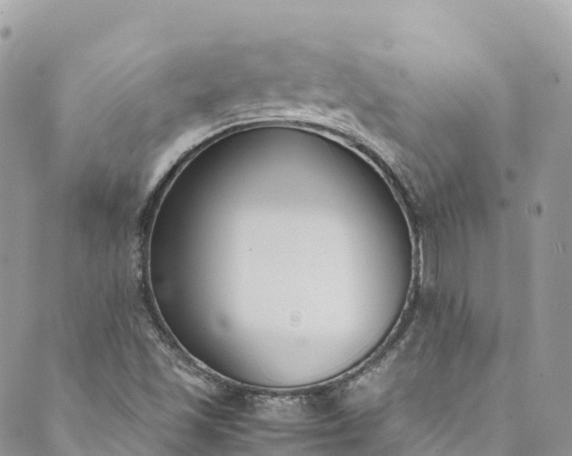 X0000089431501200706291301