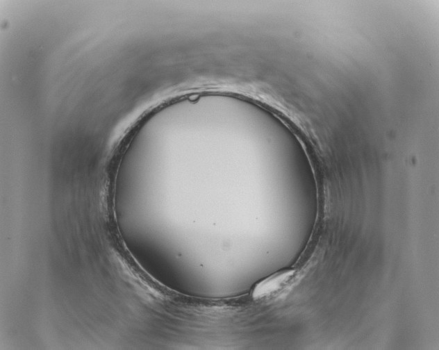 X0000089431502200706291301