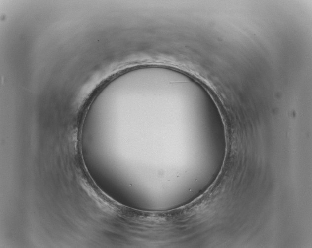 X0000089431503200706291301