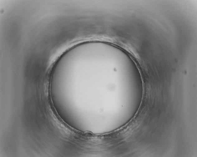 X0000089431504200706291301