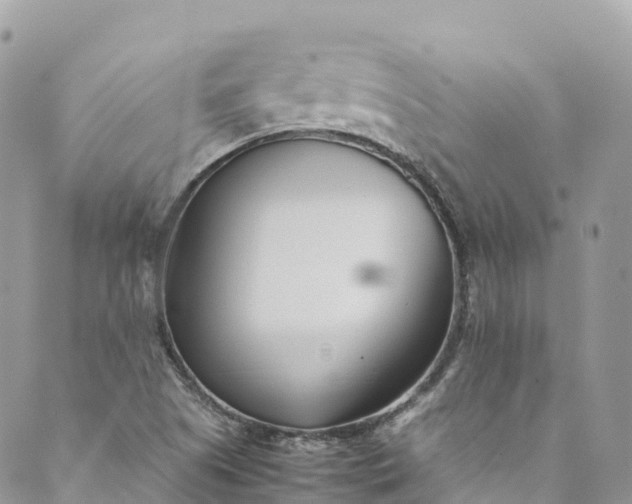 X0000089431505200706291301