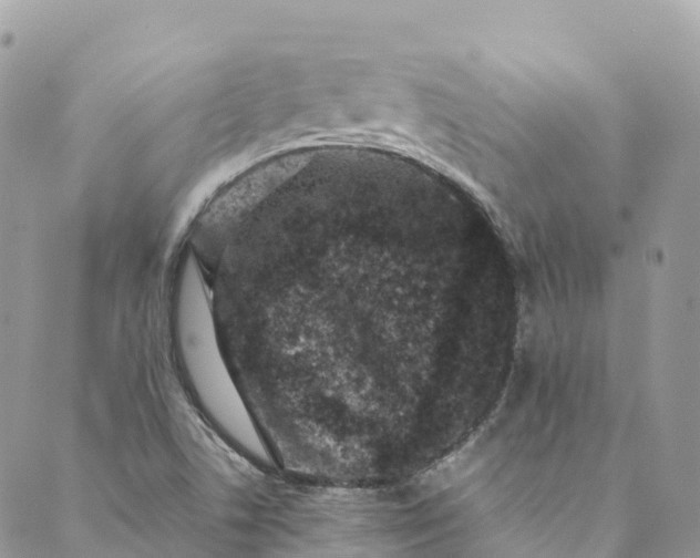 X0000089431506200706291301