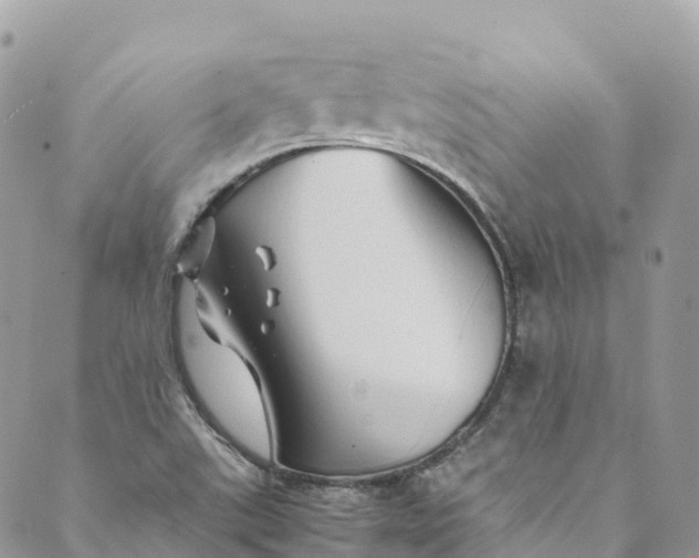 X0000089431507200706291301