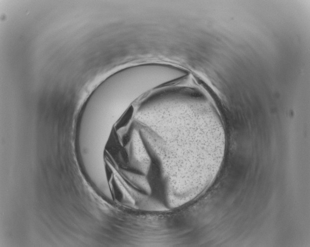 X0000089431508200706291301