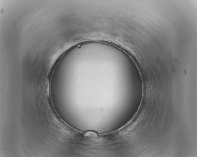 X0000089431509200706291301