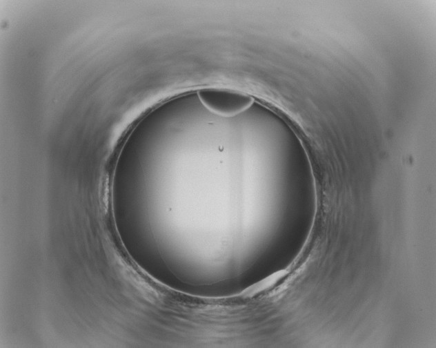 X0000089431510200706291301