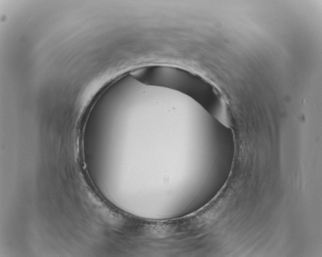 X0000089431511200706291301