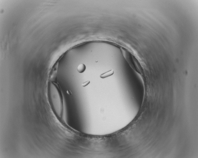 X0000089431512200706291301