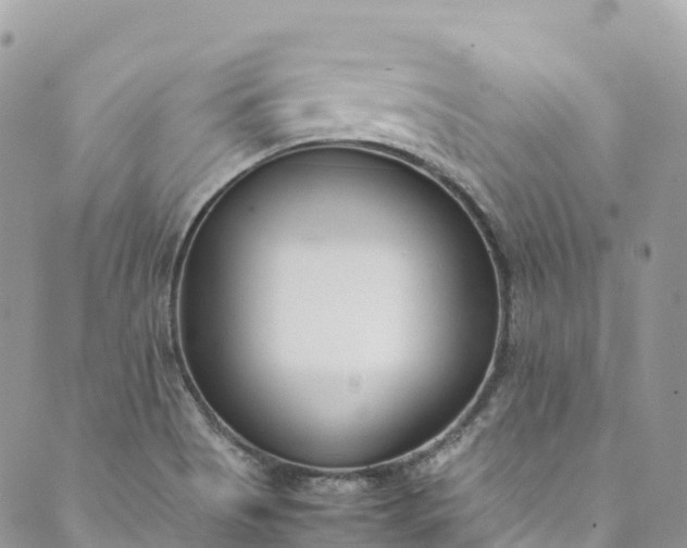 X0000089431513200706291301