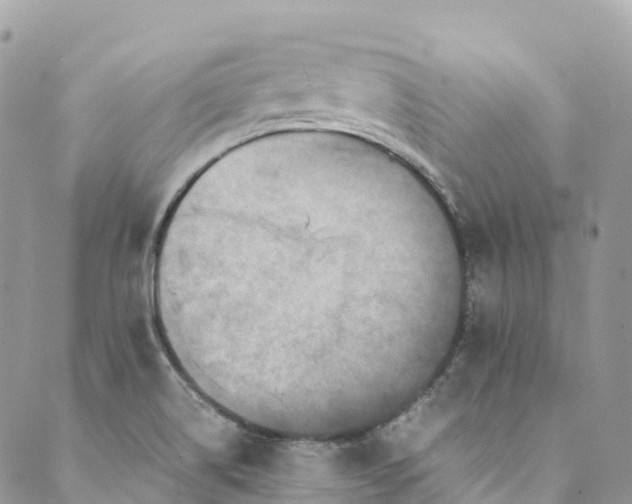 X0000089431514200706291301