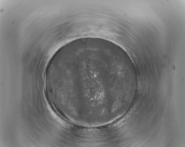 X0000089431515200706291301