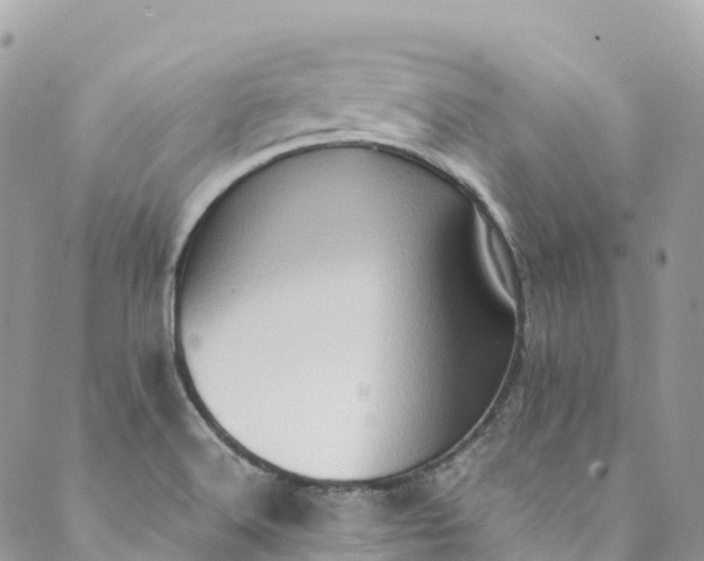 X0000089431516200706291301