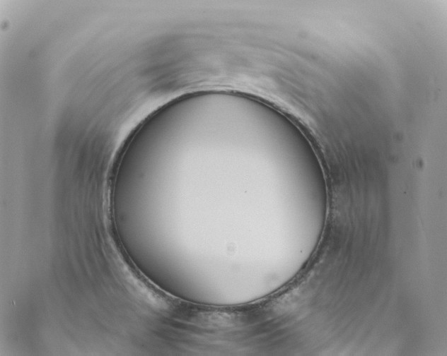 X0000089431517200706291301