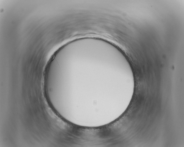 X0000089431518200706291301