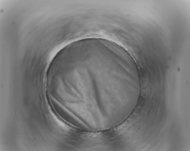 X0000089431519200706291301