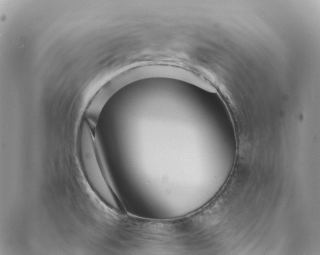 X0000089431520200706291301