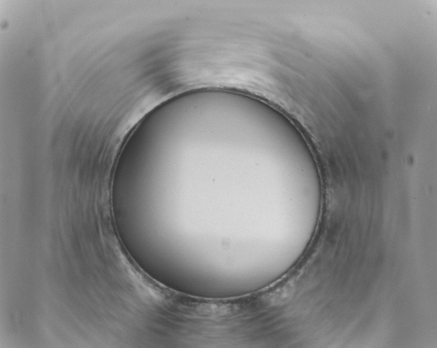 X0000089431521200706291301