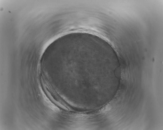 X0000089431522200706291301