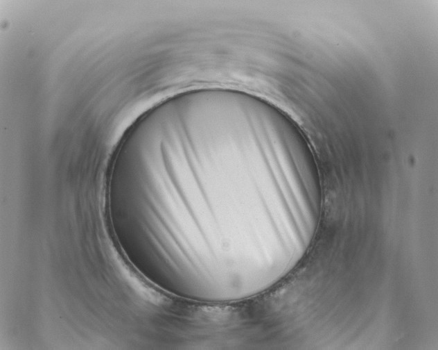 X0000089431523200706291301