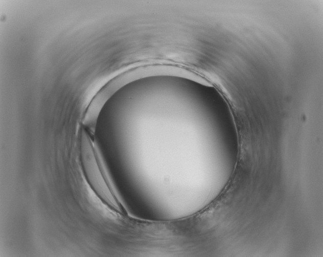 X0000089431524200706291301