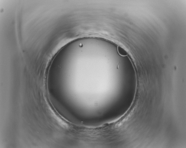 X0000089431525200706291301