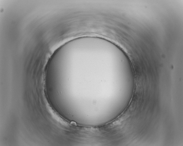 X0000089431526200706291301