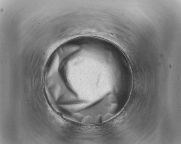 X0000089431527200706291301