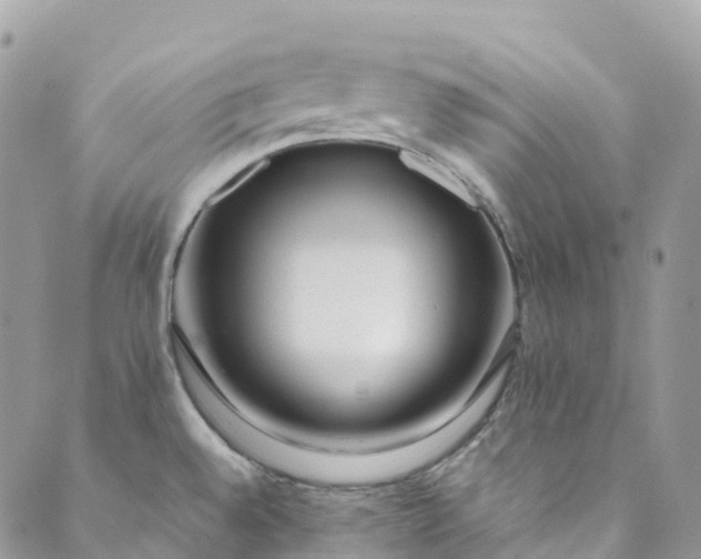 X0000089431528200706291301