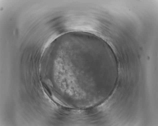 X0000089431529200706291301