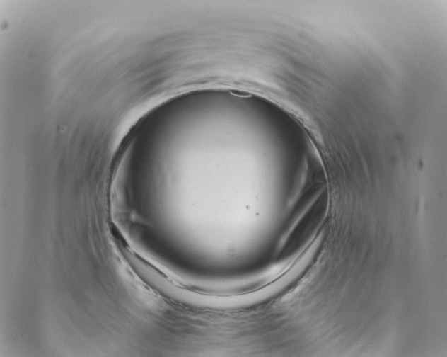 X0000089431530200706291301