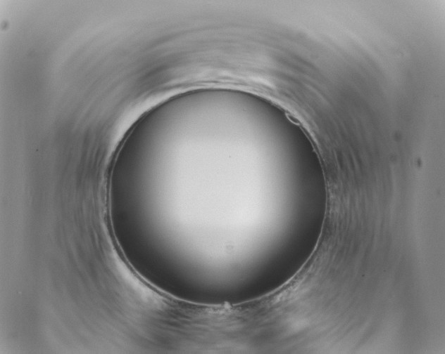 X0000089431531200706291301