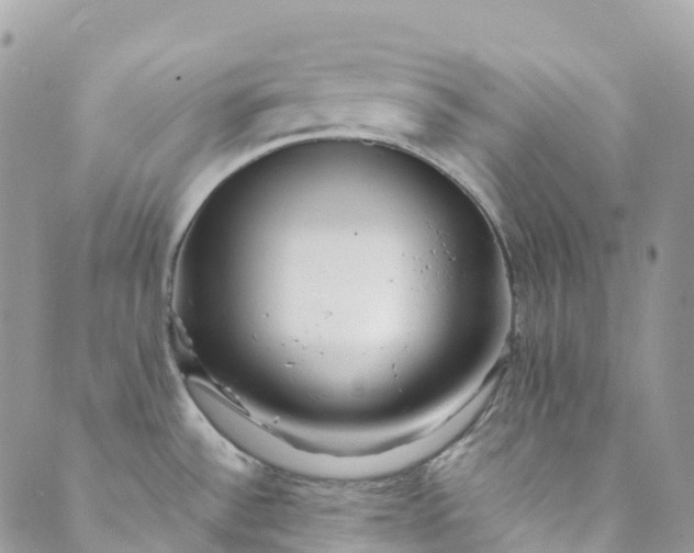 X0000089431532200706291301