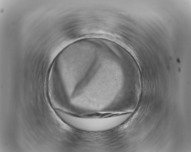 X0000089431533200706291301