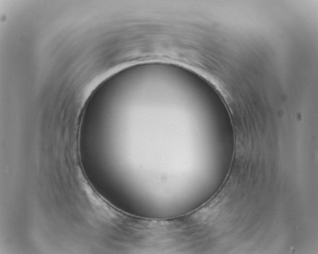 X0000089431534200706291301