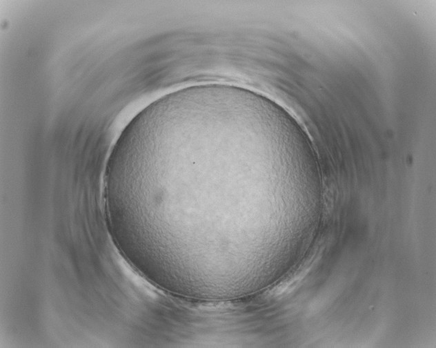 X0000089431535200706291301