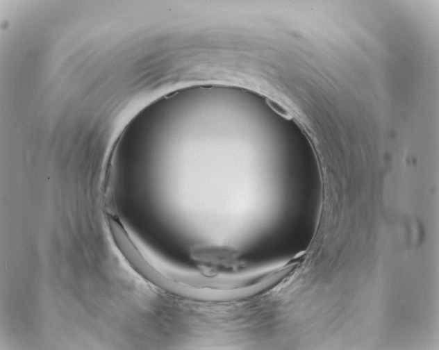 X0000089431536200706291301