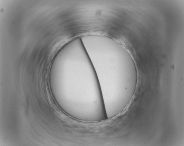 X0000089430001200707061355