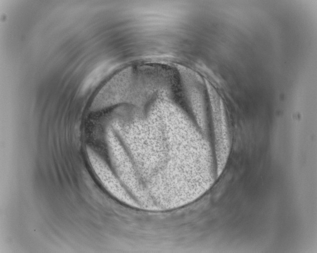 X0000089430002200707061355